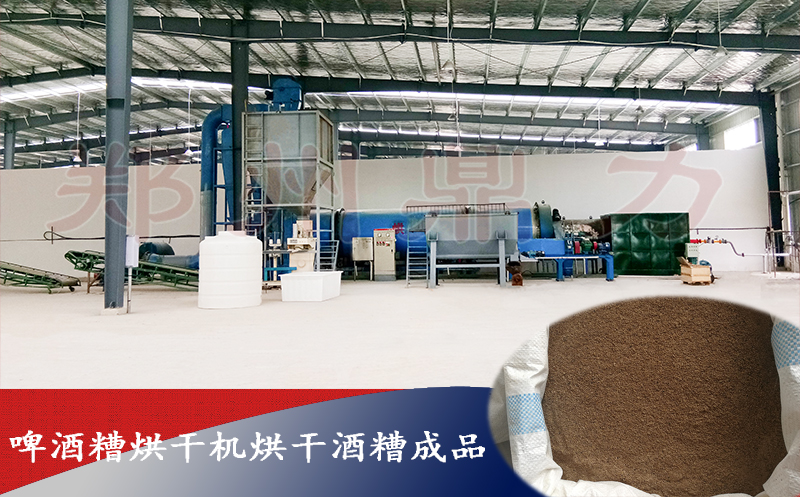 啤酒糟烘干機烘干啤酒糟成品圖