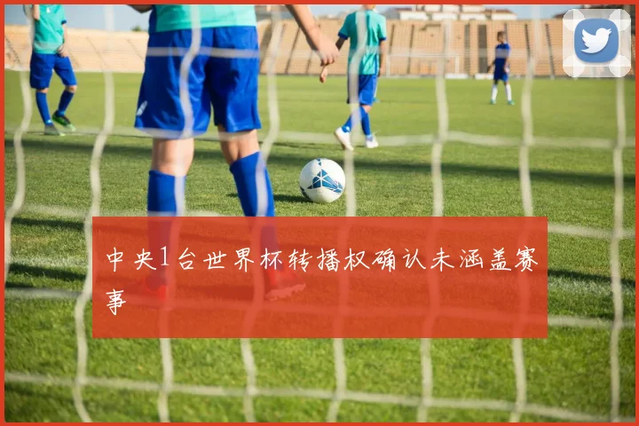 中央1台世界杯转播权确认未涵盖赛事