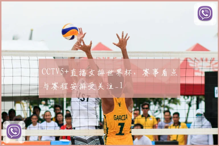 CCTV5+直播女排世界杯，赛事看点与赛程安排受关注_1